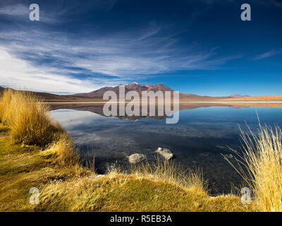 Laguna Cañapa in der Abteilung von Potosi Bolivien Stockfoto