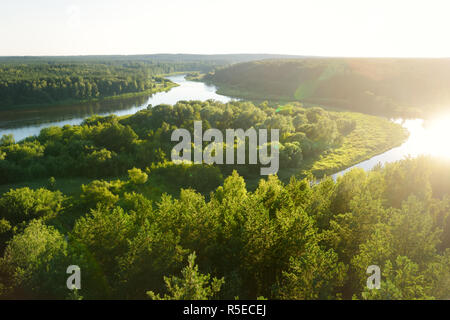 Szenische Ansicht vom Merkine Aussichtsturm zu Nemunas, Streaming zwischen dichten Kiefernwäldern. Schönen litauischen Sommer Landschaft. Stockfoto