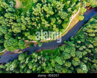 Luftbild von Oben nach Unten Blick auf Sommer Wald mit schmalen Fluss Vilnele Wicklung zwischen den Bäumen. Wunderschöne Wald Landschaft in der Nähe der Stadt Vilnius, Litauen Stockfoto