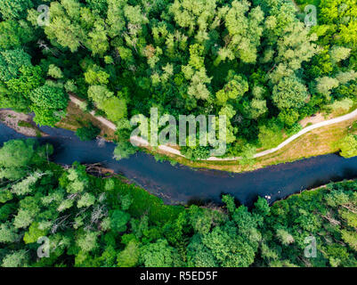 Luftbild von Oben nach Unten Blick auf Sommer Wald mit schmalen Fluss Vilnele Wicklung zwischen den Bäumen. Wunderschöne Wald Landschaft in der Nähe der Stadt Vilnius, Litauen Stockfoto