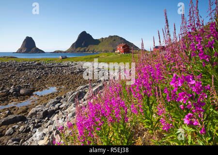 Landschaft in der Nähe von Nykvag, Vesteralen, Nordland, Norwegen Stockfoto