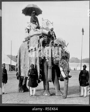 Elefant. Dec-02. Der Elefant, der Ihre Königlichen Hoheiten durchgeführt, der Herzog und die Herzogin von Connaught im Zustand Eintritt in Delhi, 29. Dezember 1902. Blick auf die Elefanten, reich caparisoned und mit einem howdah verziert mit Dekorationen in Form eines Tigers anzugreifen eine Antilope. Ursprünglich veröffentlicht im Dezember 1902 produziert. . Quelle: OIOC Foto 430/78 (17). Autor: Bourne & Hirte. Stockfoto