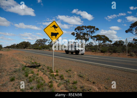 Kuh und Kangaroo crossing Warnschild in ländlichen Western Australia. Stockfoto