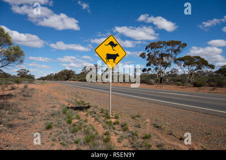 Kuh und Kangaroo crossing Warnschild in ländlichen Western Australia. Stockfoto
