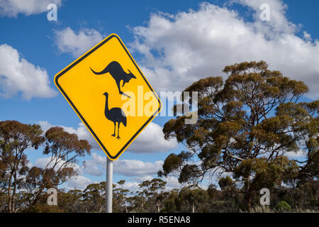 Känguru und Emu Kreuzung Warnschild in ländlichen Western Australia. Stockfoto