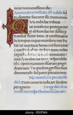 Text Seite mit ersten 'Q'. Mirandola Stunden. Italien, ca. 1490-1499. [Ganze folio] Text Seite vom Büro des Toten. Hiob 10, 13-16, beginnend mit 'Q'. Bild von Mirandola Stunden genommen. Ursprünglich veröffentlicht in Italien produziert, ca. 1490-1499. Quelle: Hinzufügen. 50002, f 100 v. Sprache: Latein. Stockfoto