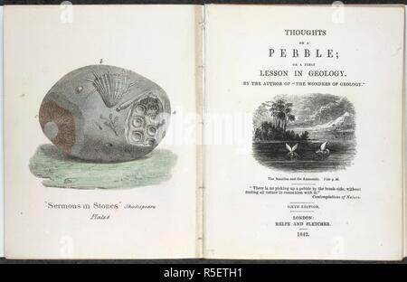 Ein kieselstein. Gedanken auf einen Kieselstein, oder eine erste Lektion in Geolog. London: Relfe & Fletcher, 1842. Abbildung mit dem Titel Predigten in Stein - Shakespeare. Illustrierte Titelseite. Bild von Gedanken auf einen Kieselstein, oder eine erste Lektion in Geologie. Vom Autor von: Die Wunder der Geologie: [d. h. A. Gideon Mantell] Sechste Ausgabe. /In London produzierte Ursprünglich veröffentlicht: Relfe & Fletcher, 1842. . Quelle: X. 329/14693, frontispiz und Titelblatt. Sprache: Englisch. Stockfoto