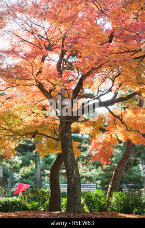 Japan, Kyoto, Kennin-ji Zen Tempel, Blätter im Herbst in den Tempel Stockfoto