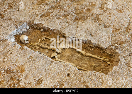 England, West Sussex, Chichester, Fishbourne, die römischen Palast, menschliches Skelett Stockfoto