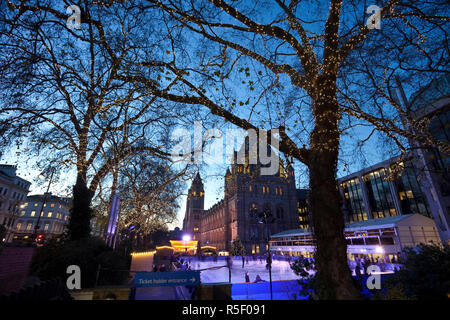 Eisbahn vom Natural History Museum, Exhibition Road, South Kensington, London, England Stockfoto