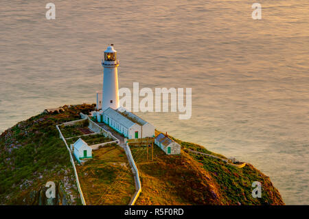 Großbritannien, Wales, Anglesey, Holy Island, South Stack Lighthouse Stockfoto