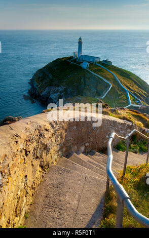 Großbritannien, Wales, Anglesey, Holy Island, South Stack Lighthouse Stockfoto