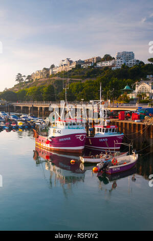 Großbritannien, England, Devon, Torbay, Torquay, Torquay Hafen Stockfoto