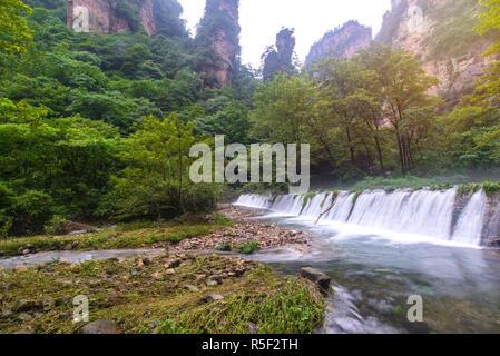 Wasserfall in Goldene Peitsche Stream in Zhangjiajie National Forest Park, Hunan, China Stockfoto