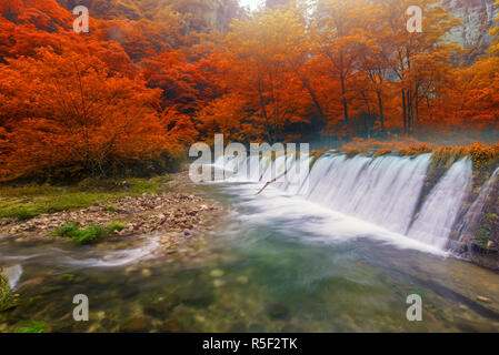 Wasserfall in Goldene Peitsche Stream in Zhangjiajie National Forest Park, Hunan, China Stockfoto