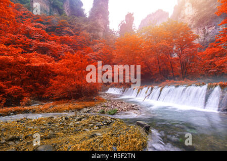 Wasserfall in Goldene Peitsche Stream in Zhangjiajie National Forest Park, Hunan, China Stockfoto