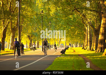 Hyde Park, London, England Stockfoto