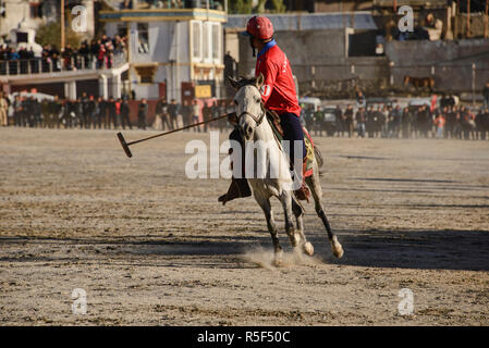 Höhe Pferd polo, Leh, Ladakh, Indien Stockfoto