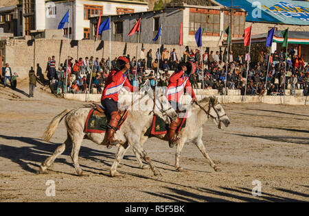 Höhe Pferd polo, Leh, Ladakh, Indien Stockfoto