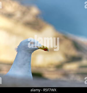 Zu Alicante, Alicante Stockfoto