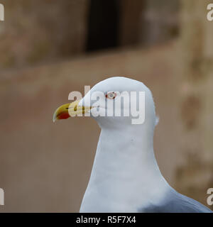 Zu Alicante, Alicante Stockfoto