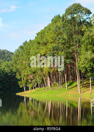 Pang Oung Nationalpark, Reflexion der Kiefer in einem See, Mae Hong Son, Thailand Stockfoto