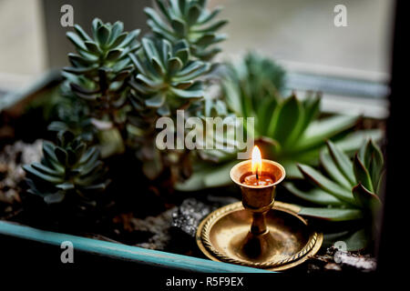 Die Kerze brennt in einem kleinen Messing Leuchter, zwischen dem Grün der Sukkulenten. Makro. Gefühl von Wärme und Komfort. Das Gebet, Dankbarkeit Stockfoto