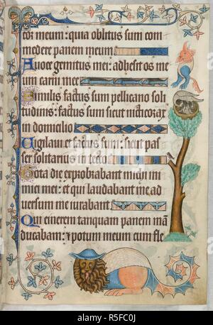 Psalm 101; Pelikan in der Frömmigkeit. Luttrell Psalter. England [East Anglia]; ca. 1325-1335. [Ganze folio] Psalm 101. Grenze Dekoration mit grotesk. Auf der rechten Seite, eine Eiche, an der Spitze von denen ist ein Pelikan in der Frömmigkeit, ein kleiner Vogel auf den Abgeästete Ende einer banch thront. Unterer Rand; große Groteske mit einen Löwenkopf trägt einen blauen Hut Bild von Luttrell Psalter entnommen. Ursprünglich veröffentlicht in England [East Anglia] hergestellt; ca. 1325-1335. . Quelle: Hinzufügen. 42130, f 178. Sprache: Latein. Stockfoto