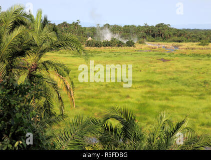 Semliki River Hot Springs, Uganda, Ostafrika Stockfoto