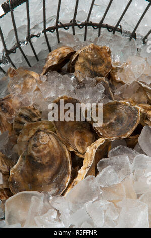 USA, Maine, Portland, Custom House Wharf, Hafen Fischmarkt store Stockfoto