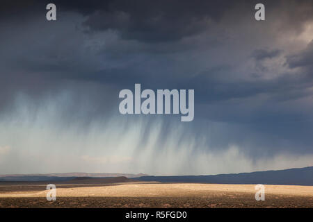 USA, Nevada, Great Basin, Beatty, Wüste Sturm an der RT. 95 Stockfoto