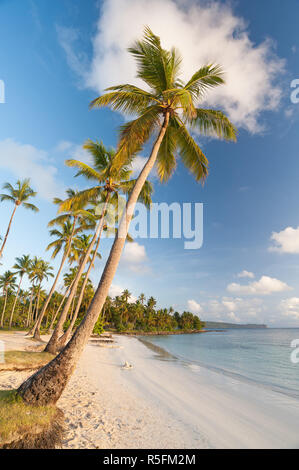 Palm Beach auf der Halbinsel samanÃ¡, Dominikanische Republik Stockfoto