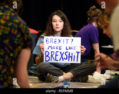 Studenten an der Bristol University Students' Union ein Banner und Plakate für März für eine Abstimmung oder zweites Referendum über Brexit vorbereiten Stockfoto