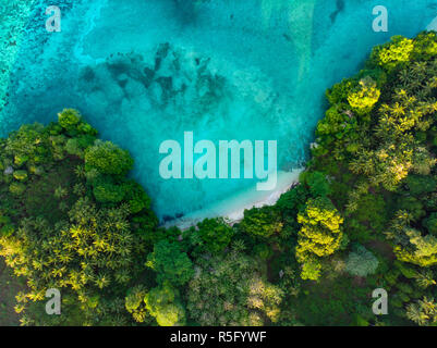 Luftbild von Oben nach Unten anzeigen tropisches Paradies unberührte Strand Regenwald blaue Lagune bei Banda Insel Pulau Ay. Indonesien Molukken Archipel, Travel des Stockfoto