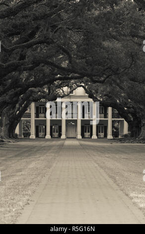 USA, Louisiana Vacherie, Oak Alley Plantation, River Road Mansion Stockfoto