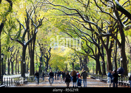 Die Mall und literarischer Spaziergang mit Amerikanischer Ulmen bildet die avenue Vordach, New York, USA Stockfoto