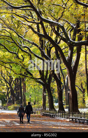 Die Mall und literarischer Spaziergang mit Amerikanischer Ulmen bildet die avenue Vordach, New York, USA Stockfoto