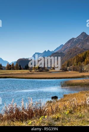 Berg- und Seenlandschaft mit idyllischen Bergdorf in bunten Goldener Herbst Farben Stockfoto