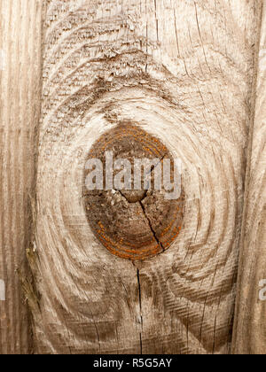 Holzzaun Nahaufnahme Textur in Garten Stockfoto