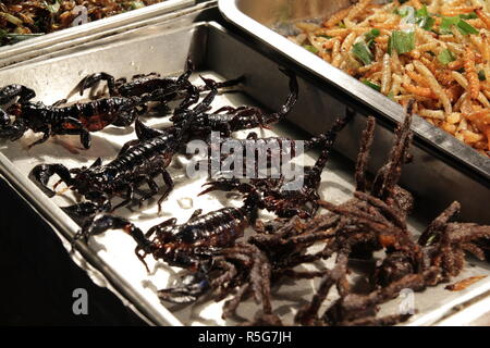 Schwarze Skorpione, Spinnen und andere Insekten an einem Straßenhändler in der Khao San Road, Bangkok, Thailand geröstet Stockfoto