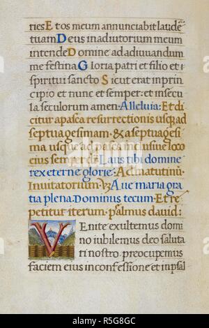 Text Seite mit ersten 'V'. Mirandola Stunden. Italien, ca. 1490-1499. (Ganze folio) Text Seite von den Stunden der Jungfrau. Der Anfang von Psalm 94, mit ersten 'V' von Filialen gegen einen malerischen Hintergrund Bild von Mirandola Stunden 0 gebildet. Ursprünglich veröffentlicht in Italien produziert, ca. 1490-1499. Quelle: Hinzufügen. 50002, f. 13 v. Sprache: Latein. Stockfoto