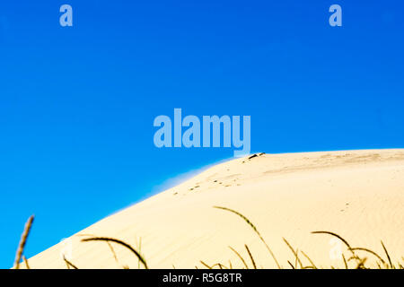 Sanddünen von Rubjerg Knude Stockfoto