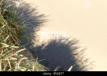 Sanddünen von Rubjerg Knude Stockfoto