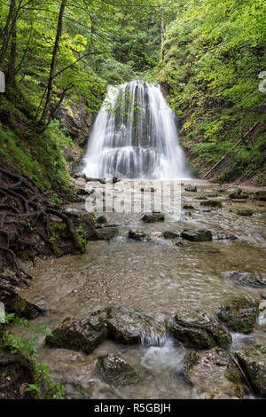 Josefstaler Wasserfall im spitzingsee, Bayern Stockfoto