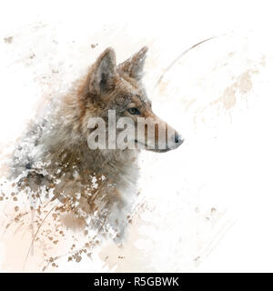 Schließen Sie herauf Bild von Coyote Aquarell Stockfoto