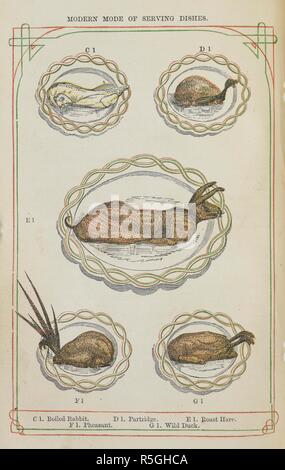 Verschiedene Fleisch- und Geflügelgerichten. Das Buch der Haushaltsführung, etc. [mit Platten und Illustrationen.]. London: S. O. Beeton, 1861. Quelle: C 194. a. 507, S. 513. Autor: ISABELLA BEETON, Maria. ANON. Stockfoto