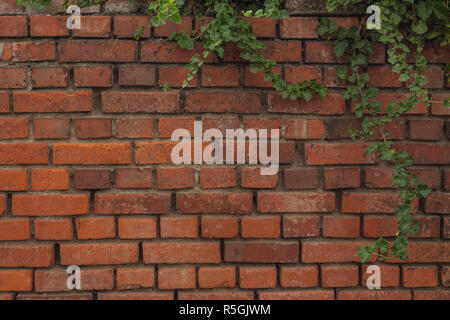 Wand als Hintergrund Stockfoto