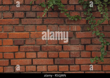 Wand als Hintergrund Stockfoto