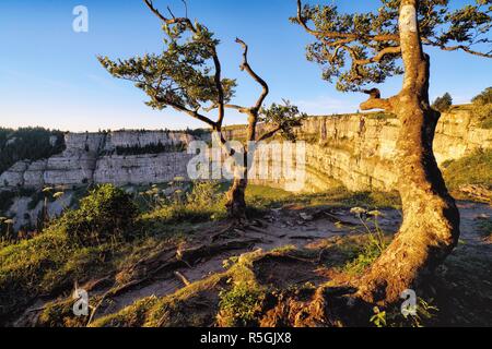 Creux du Van 2 Stockfoto