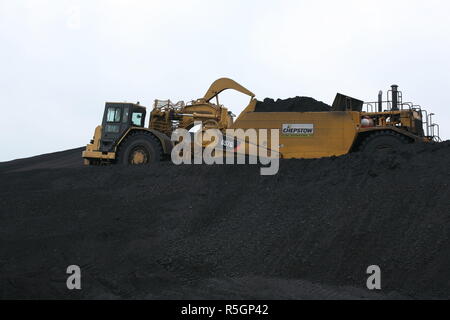 Caterpillar 657 G Motor Scraper, Kohle Abstreifer von Chepstow Plant Hire besessen Arbeiten bei Drax Kohlekraftwerk in North Yorkshire. Stockfoto